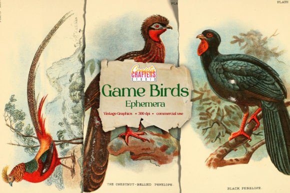Unlocking Creativity: The Rise of Game Birds Handbook Vintage Ephemera in Digital Design